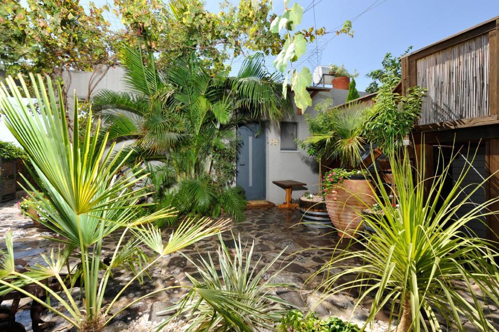 Nichochot Provence Villa Had Nes Bagian luar foto